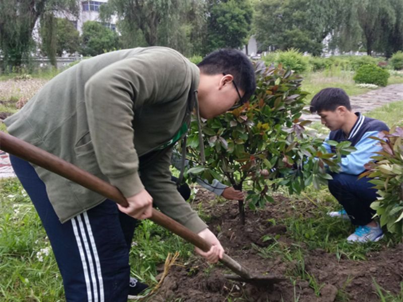 梓桐園藝社開展“我為學校添新綠”植樹活動