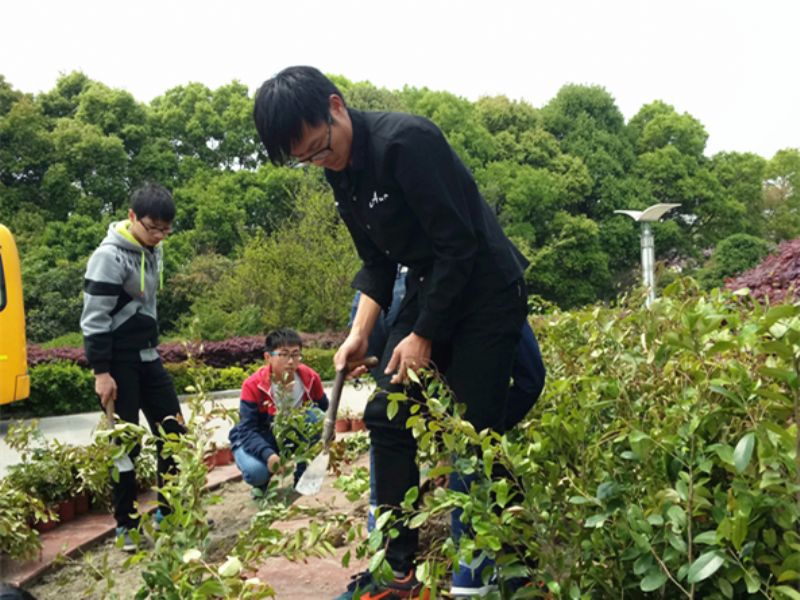 梓桐園藝社開展“植樹添綠”活動